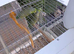 Young parrolets