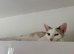 REHOME