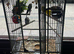 4 budgi and Cage for sale