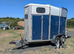 Ivor Williams hunter horse trailer