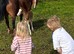 Who wants to stand out!!! Welsh A Colt