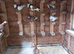 Birmingham roller pigeons