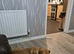 Labrador