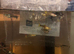 Guppies
