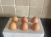 6 hatching eggs pure breed light sussex