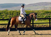 Darcy superb youngster with amazing qualities.
