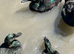 EADT INDIAN DUCKS