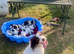 English Springer Spaniel puppies Girls