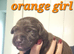 BEAUTIFUL PUPPIES FROM FULLY HEALTH-TESTED PARENTS