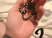 Snakelet corn snakes ( babies)