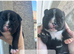 Frenchyxamerican bully