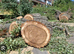 Large pieces of woods