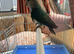 Canaries for sale
