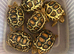 Leopard Tortoises Babies- Rare High Whites/ Standard Colouring