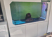 Clear air aquatics Aquarium 1500L