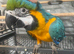Ready Now Baby HandReared Friendly Super Tame Cuddly Blue & Gold Parrot,10