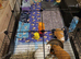 Three Guinea Pigs plus set up (3 brothers 3 years old)