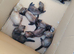Kits for sale x8