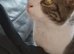 Beautiful loving older cat