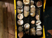 Many breeds from hatch to laying