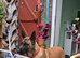 ️ ️ 14 weeks boy .Looking for lovely family.Get firs vaccine and is training.