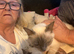 Rag doll kittens