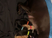 4 left! Black Labrador Puppies
