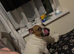 2 year old male staffie