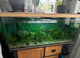 4 foot fish tank- only had for a few months - 300 litres