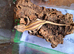 Grown on geckos