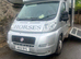 Horse box fabulous price