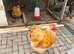 Buff Orpington Male and female chickens for sale