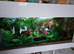 Fish tank