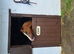 Good home needed for Ceri, change of circumstances, for sale through no fault of her own.