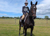 Quality thoroughbred mare out eventing