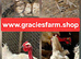 Transylvanian Naked Neck hatching eggs beautiful rare chicken breed excellent egg layers and ethical meat rearing