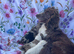 Cocker spaniel