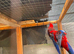 Rosellas