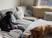 sisters up for rehoming