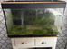 Fish tank with accessories