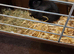 Beautiful Netherland Dwarf Doe