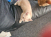 4 beautiful kittens 13 weeks old ready now