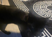 Cat For Sale