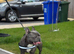 Beautiful KC registered French Bulldog for stud