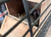 FOUR  4 week old baby Kakarikis ready to hand rear mum is doing well.