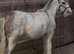 For sale Prince