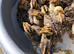 Quails Chicks (Jambo Japanes Coturnix) available