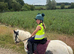 Misty 9 Year Old Cob