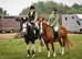 14.1hh 14yo Welsh gelding