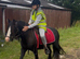 For sale Samantha 5yo cob mare